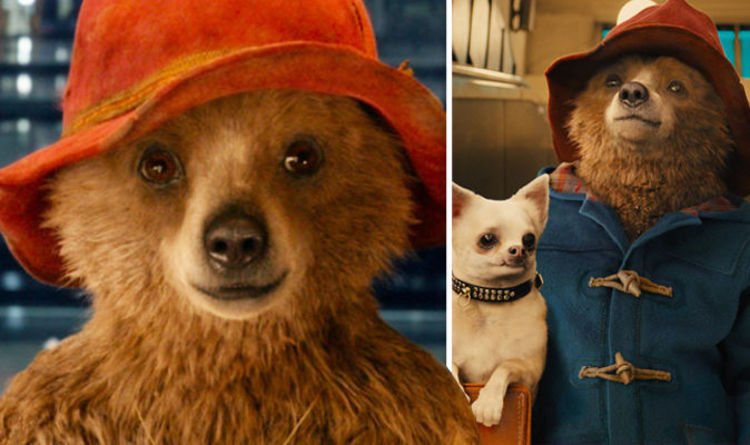 Paddington 3 CONFIRMED to be in the works - with one big difference ...