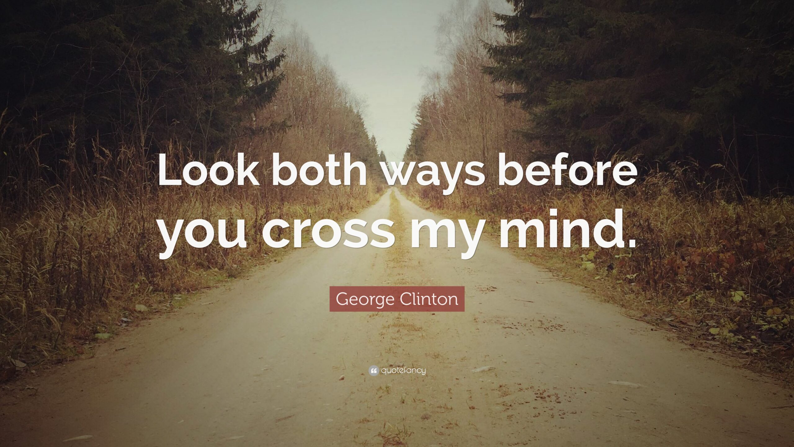 George Clinton Quote: 