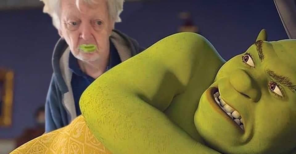 eat shrek in 2021 | Shrek funny, Shrek, Stupid funny memes