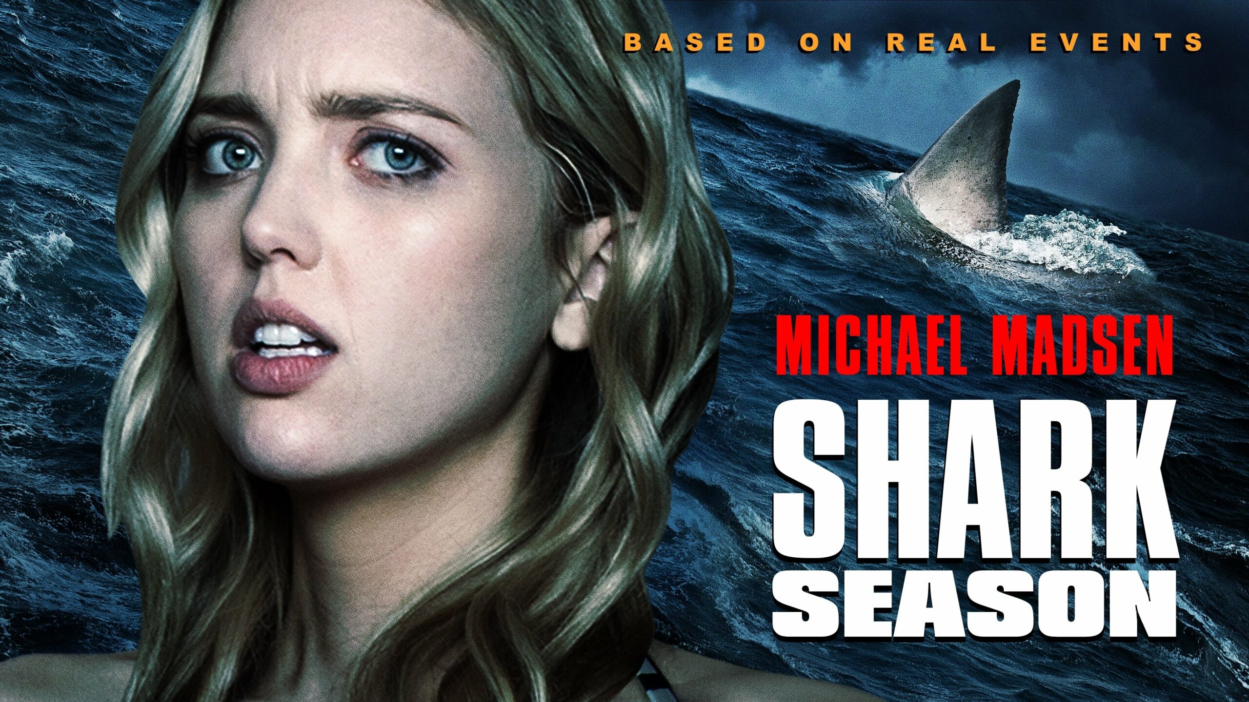 Shark Season (2020) - Backdrops — The Movie Database (TMDb)