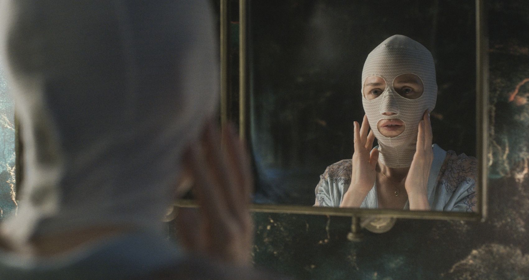 Goodnight Mommy: Plot, Cast, Release Date, and Everything Else We Know