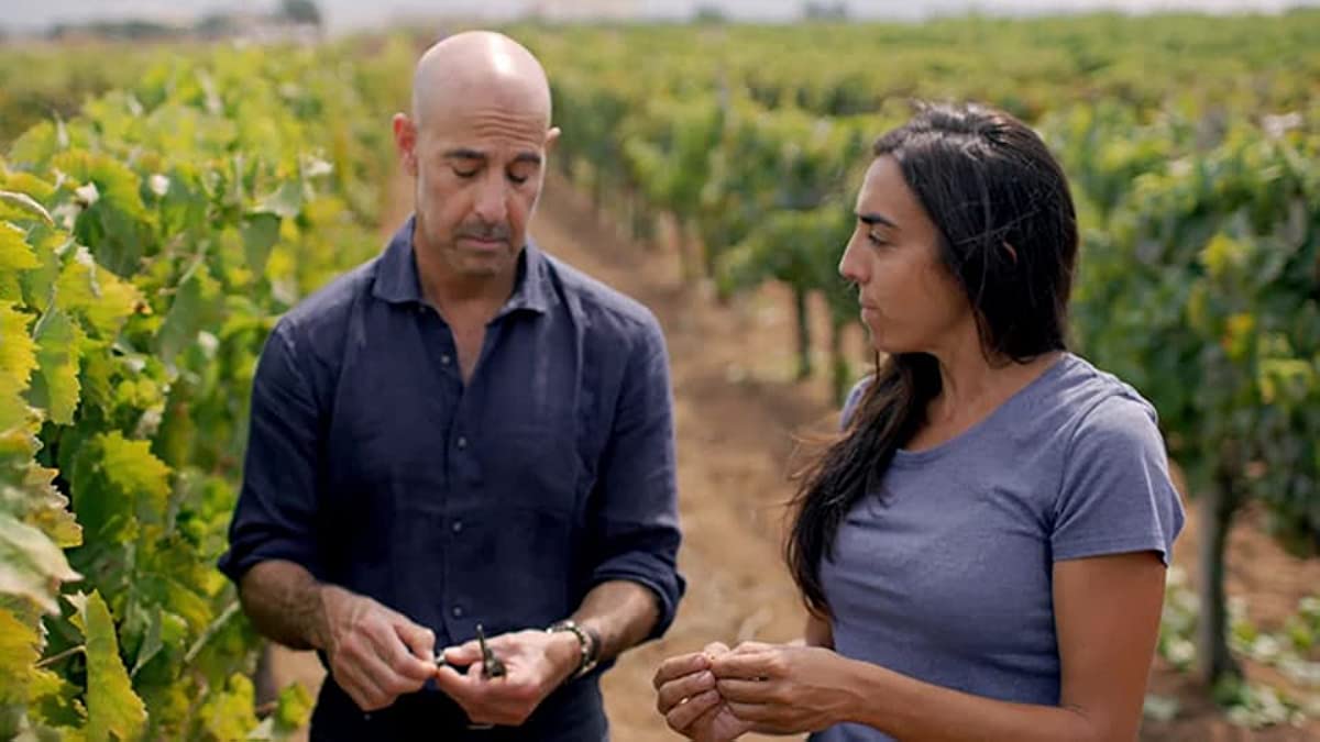philipjheil's Review of Stanley Tucci: Searching for Italy - IMDb