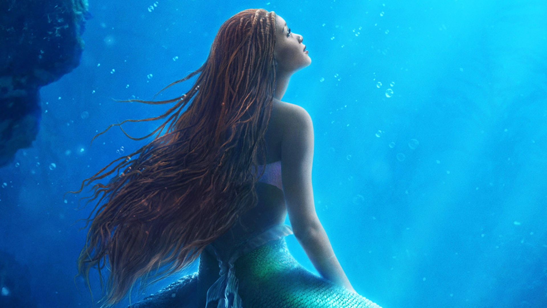 Is The Little Mermaid 2023 Live-Action Movie Flounder Real ...
