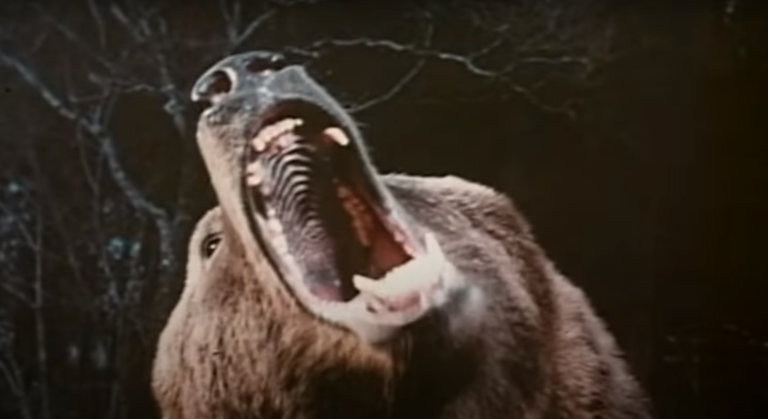 The Famous Bear from the Movie Grizzly: A Retrospective Analysis.