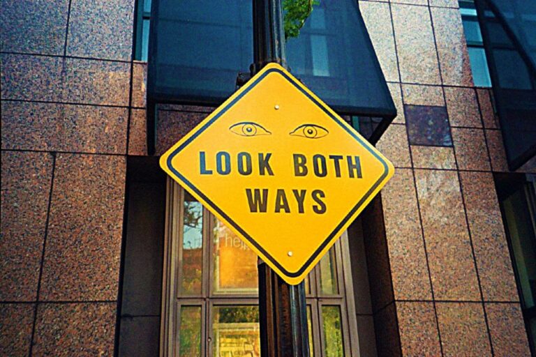 The Significance of Dual Perspectives in Look Both Ways