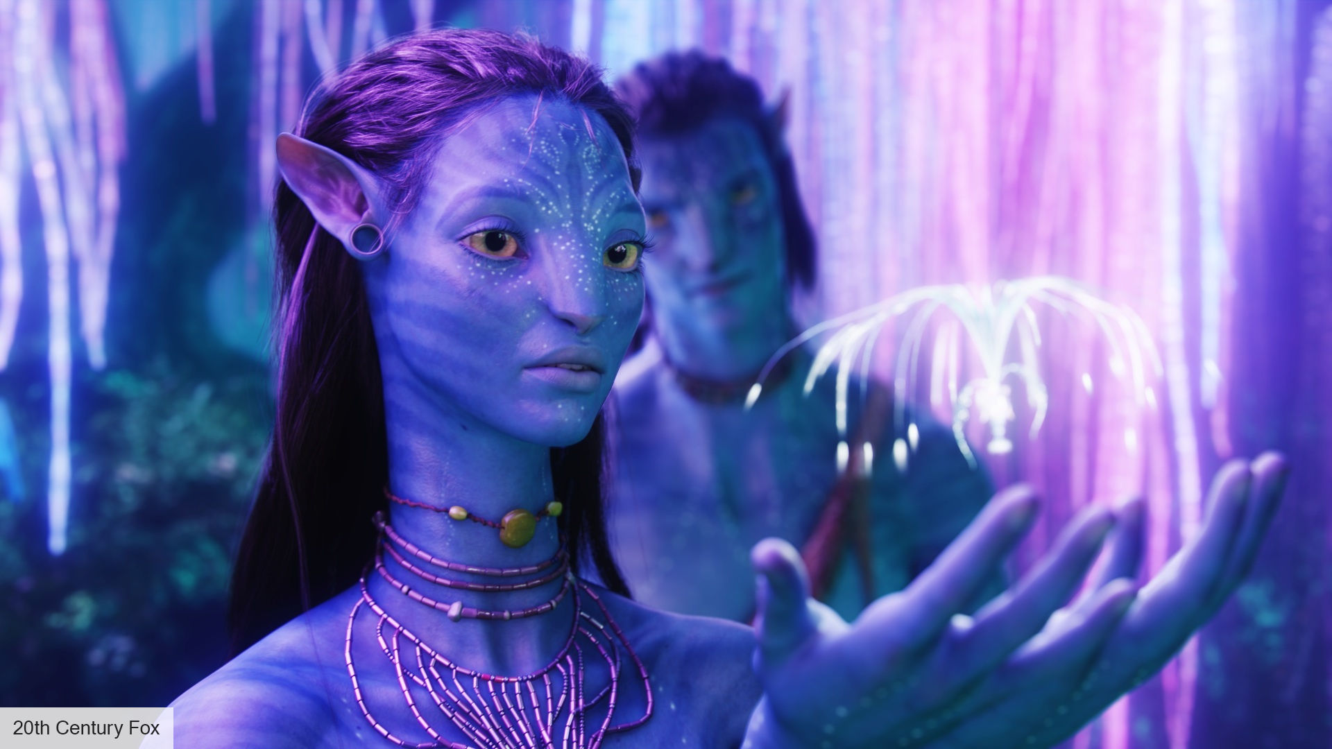 Is Avatar on Disney Plus? | The Digital Fix