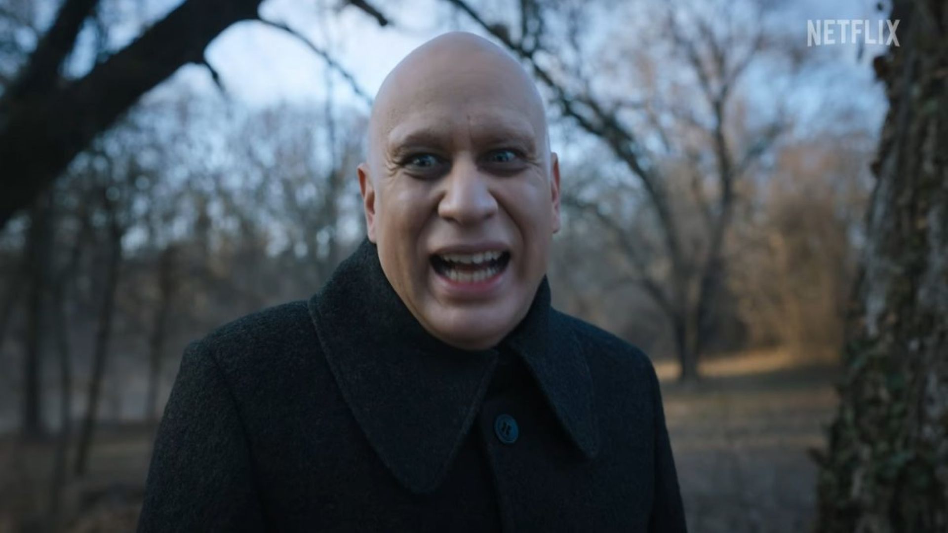 Who plays Uncle Fester in Netflix's Wednesday? Meet Fred Armisen