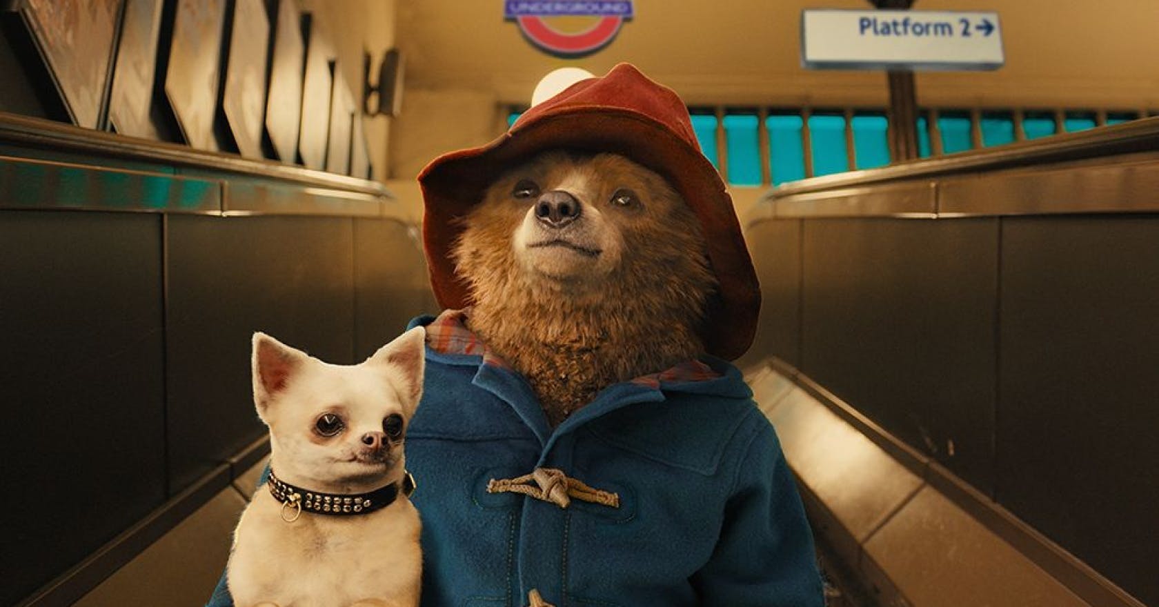 Paddington 3 is officially in the works, so grab your marmalade