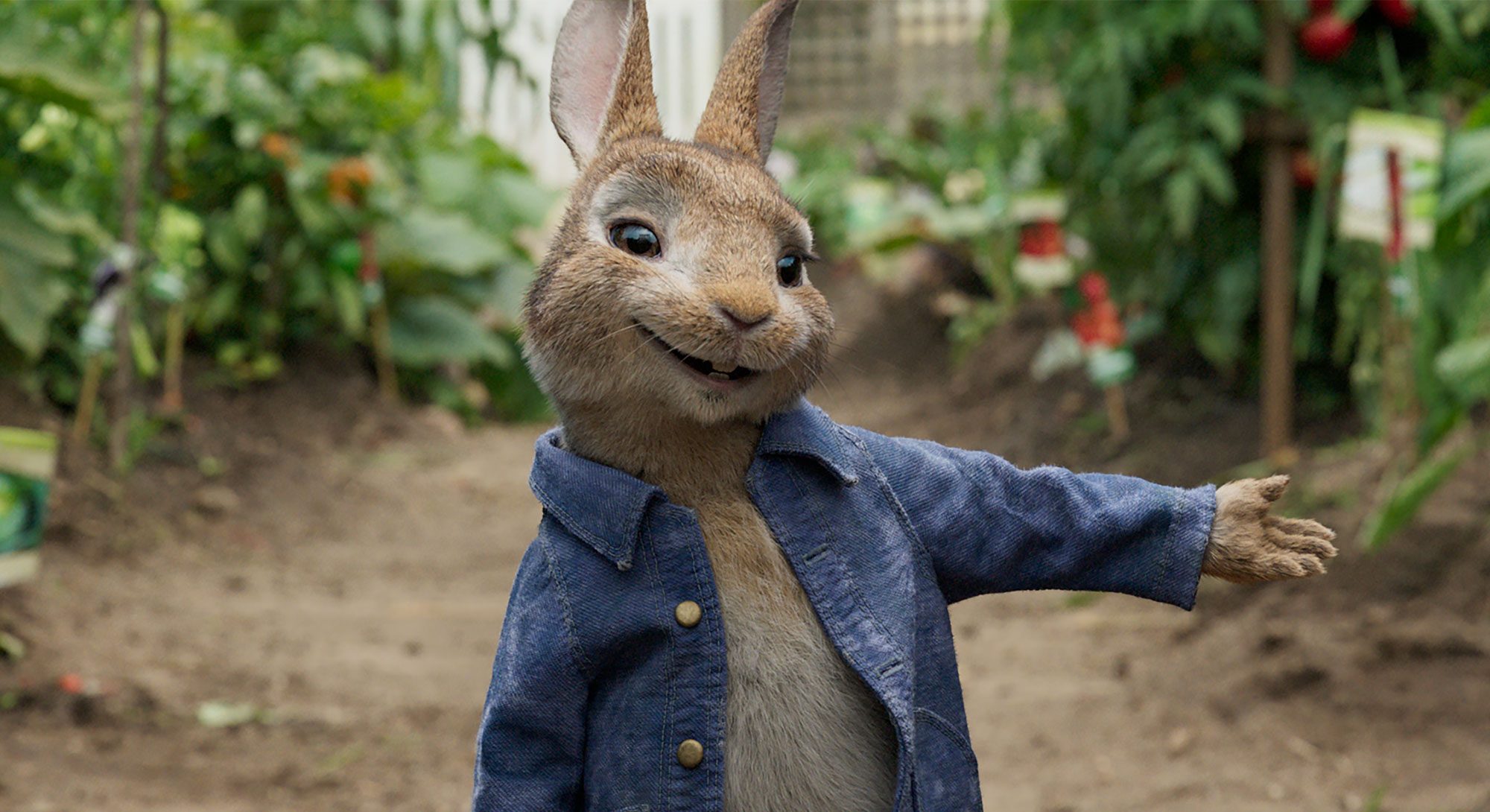 Peter Rabbit 3 Release Date, Plot, Cast Details