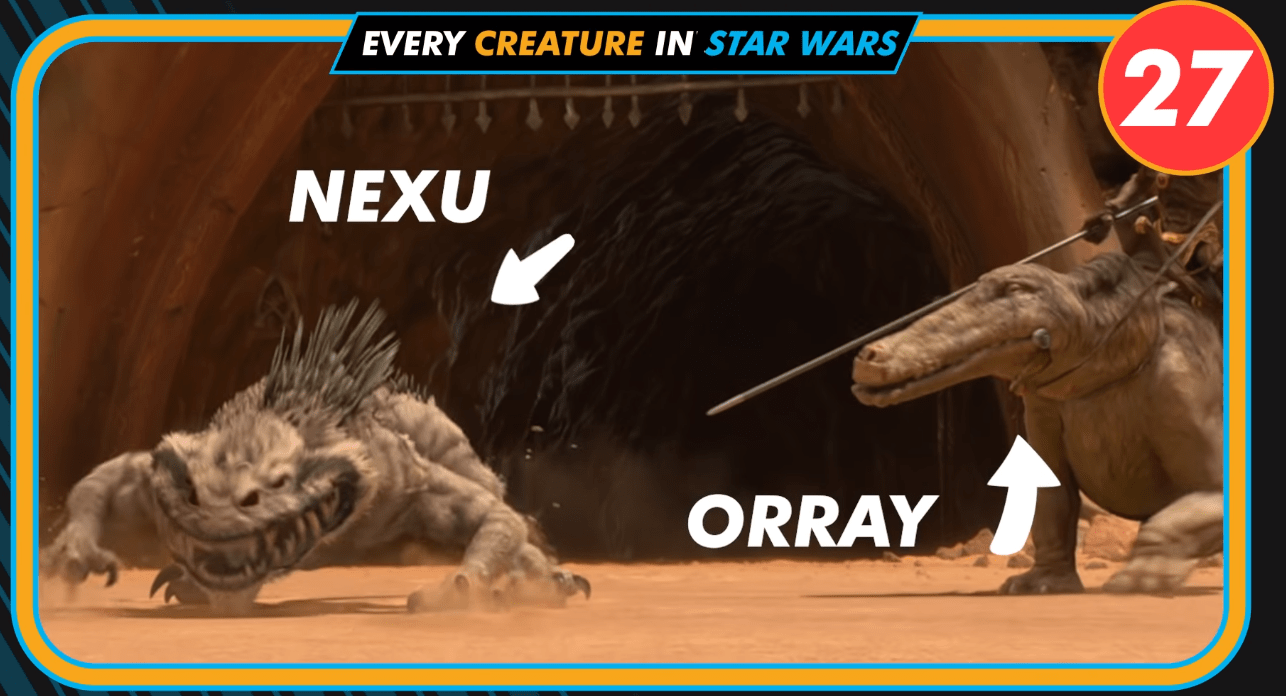 Get to know the names of every Star Wars creature from the movies ...