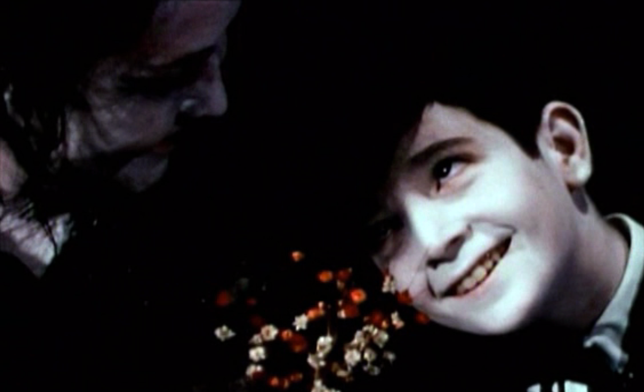 The Grandmother (David Lynch, 1970) - Abigail Armstrong's Film Studies Blog