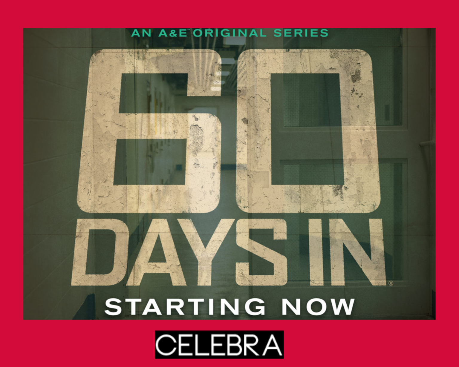 How Much Does "60 Days In" Pay? Revealing the Payouts for Participants