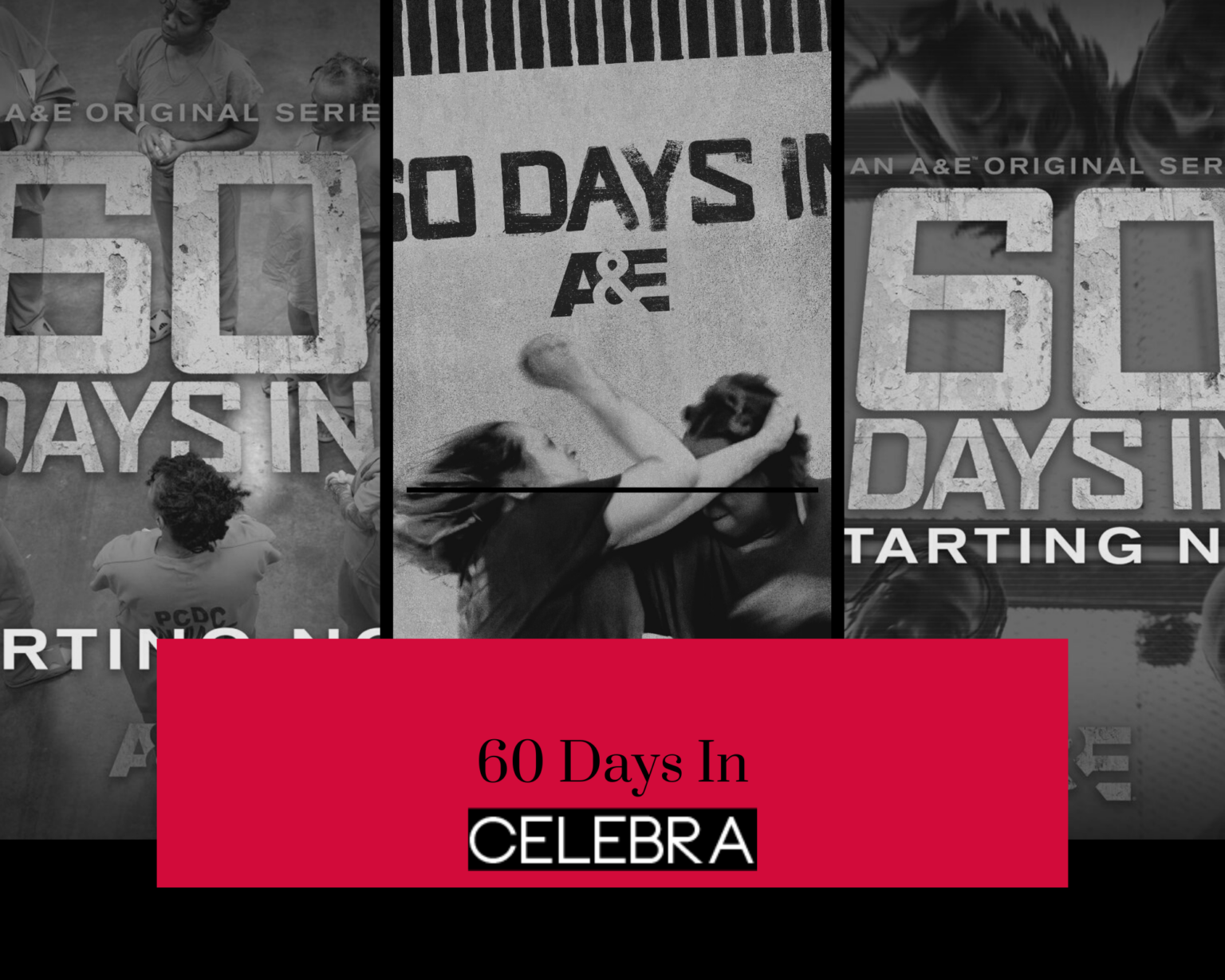 How Much Does "60 Days In" Pay? Revealing the Payouts for Participants