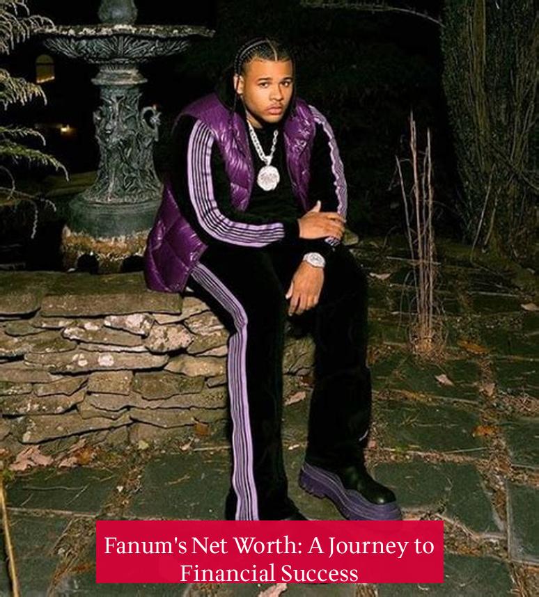 Fanum's Net Worth: A Journey to Financial Success