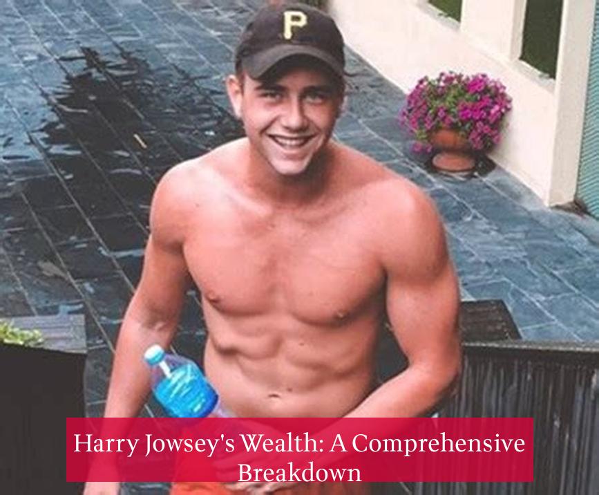 Harry Jowsey's Wealth: A Comprehensive Breakdown