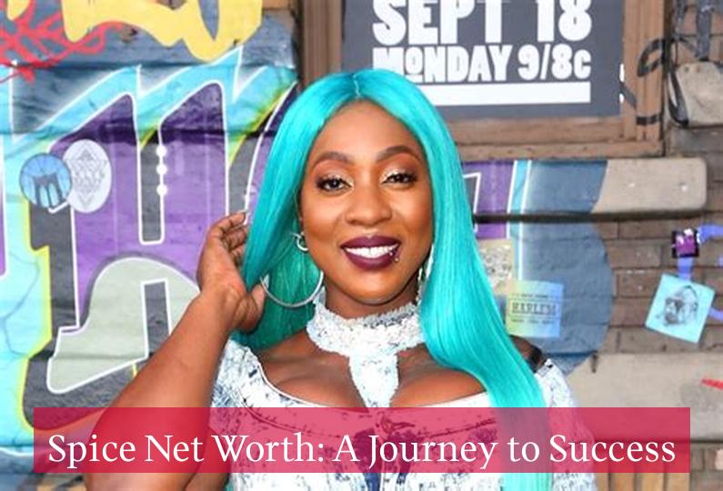 Spice Net Worth: A Journey to Success