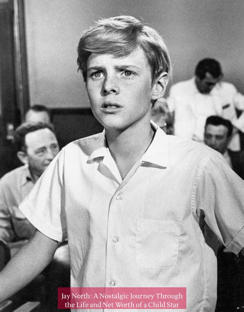 Jay North: A Nostalgic Journey Through the Life and Net Worth of a Child Star